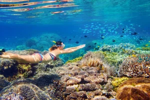 Snorkeling at Secret Gili