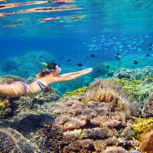 Snorkeling at Secret Gili