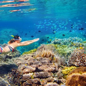 Snorkeling at Secret Gili
