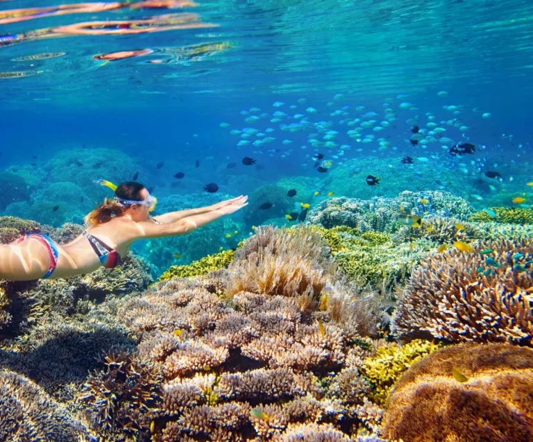 Snorkeling at Secret Gili