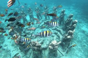 Snorkeling at Gili Trawangan