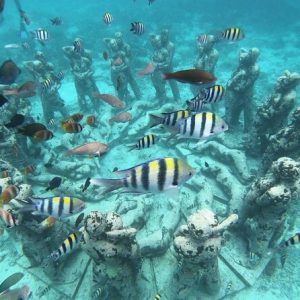 Snorkeling at Gili Trawangan