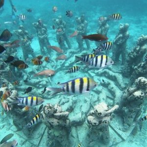 Snorkeling at Gili Trawangan