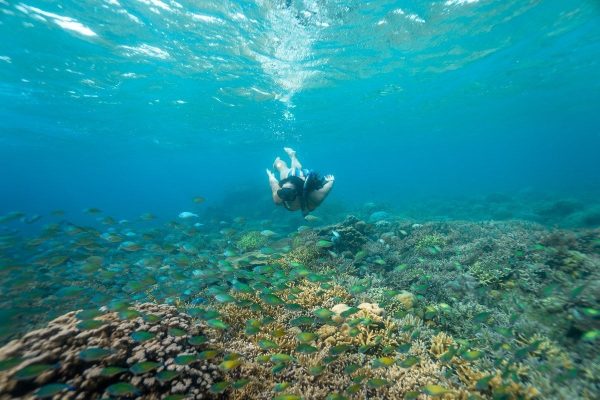 Snorkeling at Secret Gili - Image 2