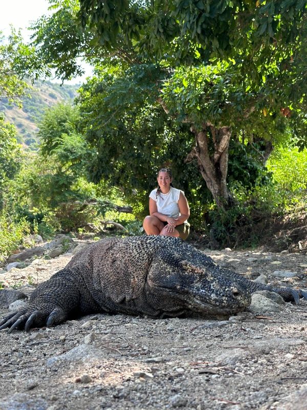 4 Days 3 Nights Komodo Tour – From Lombok to Komodo Island, Flores - Image 3